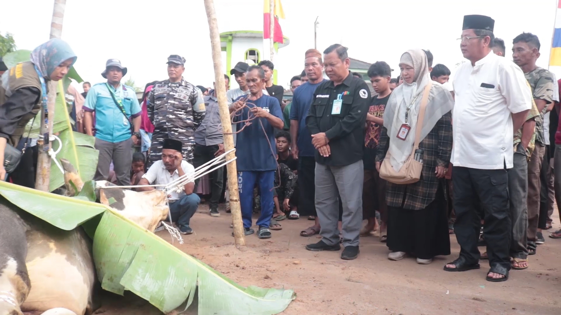 IMG_20250607_18044041