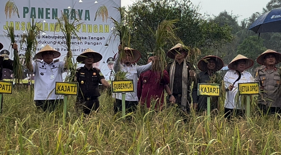 Screenshot_2026-02-18-21-10-24-70_99c04817c0de5652397fc8b56c3b3817