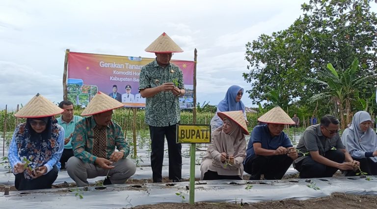Manfaatkan Lahan Kantor, DPKP Bangka Tengah Gelar Gerakan Tanam Cabai