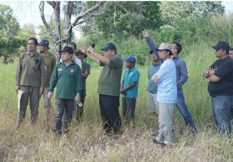 Pemprov Babel dan Pemkab Bangka Tengah Wacanakan Perkebunan Kelapa Maksimalkan Potensi HKM