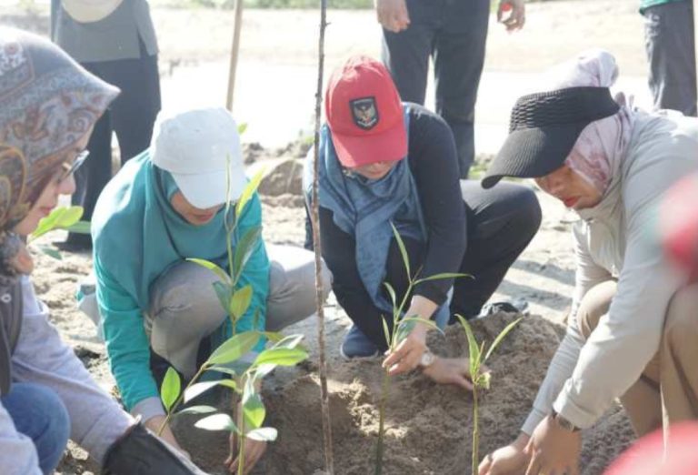 GOW Bangka Tengah Tanam Mangrove Dan Kampanyekan Aksi Peduli Iklim