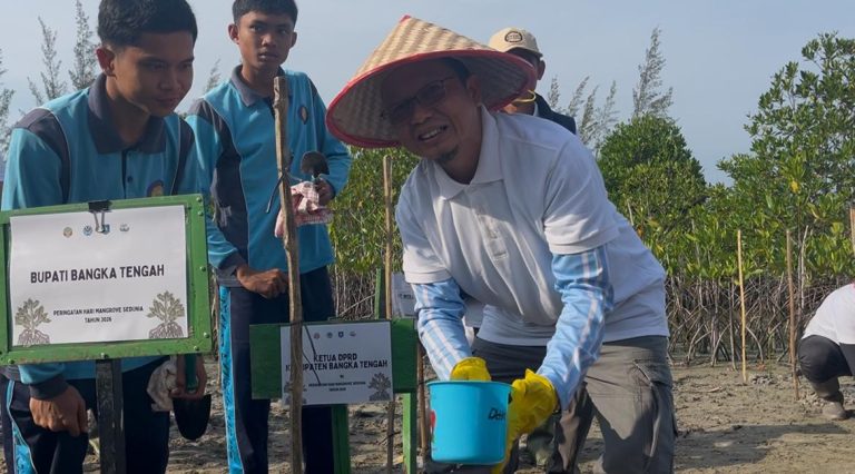 Peringati Hari Mangrove Sedunia, Bupati Bangka Tengah Bersama Gubernur Babel Tanam 3.300 Mangrove 