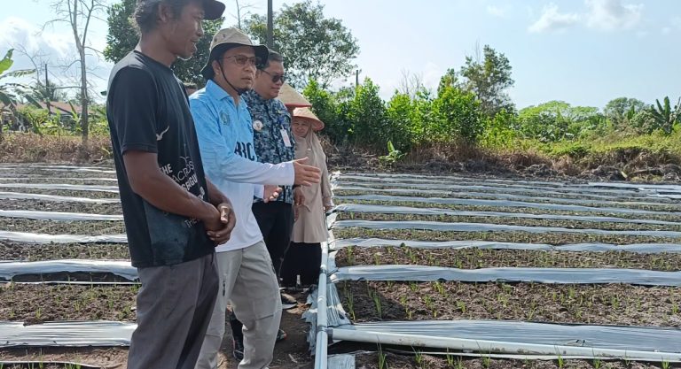 Bupati Algafry Dorong Pertanian Bawang Merah dan Tanaman Holtikultura Lainya Genjot Ketahanan Pangan