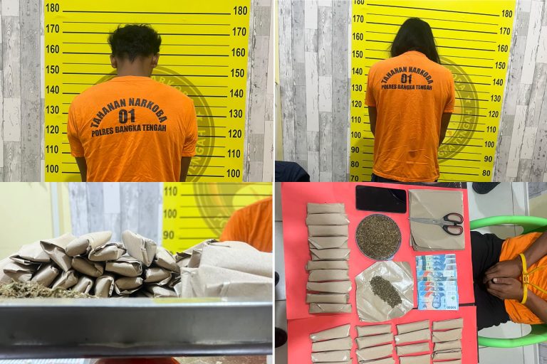 Satresnarkoba Polres Bangka Tengah Gagalkan Peredaran 660 Gram Ganja, Dua Pelaku Dibekuk